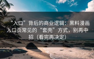 “入口”背后的商业逻辑：黑料漫画入口页常见的“套壳”方式，别再中招（看完再决定）