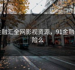 91金融汇全网影视资源，91金融有风险么
