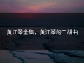 黄江琴全集，黄江琴的二胡曲