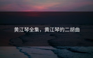 黄江琴全集，黄江琴的二胡曲
