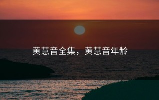 黄慧音全集，黄慧音年龄