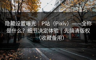 隐藏设置曝光｜P站（Pixiv）——全称是什么？细节决定体验｜先搞清版权（收藏备用）