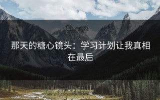 那天的糖心镜头：学习计划让我真相在最后