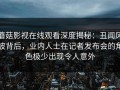 蘑菇影视在线观看深度揭秘：丑闻风波背后，业内人士在记者发布会的角色极少出现令人意外