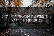 只讲干货：蘑菇视频调色教程，新手也能上手｜你会站谁？
