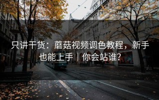 只讲干货：蘑菇视频调色教程，新手也能上手｜你会站谁？
