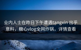 业内人士在昨日下午遭遇tangxin 出乎意料，糖心vlog全网炸锅，详情查看